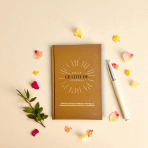 Alternative view of Daily Gratitude Journal
